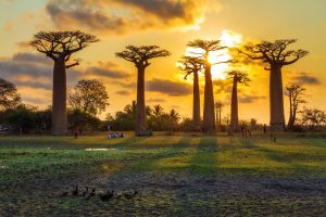 séjour à Madagascar